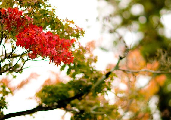 季節の変わり目に多い『ぎっくり腰・寝違い』には気をつけて～